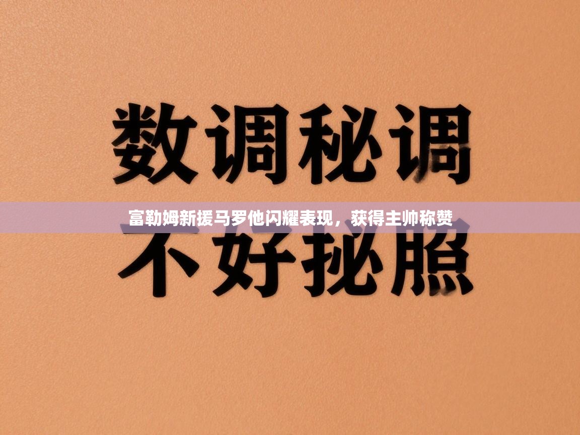 富勒姆新援马罗他闪耀表现，获得主帅称赞  第1张